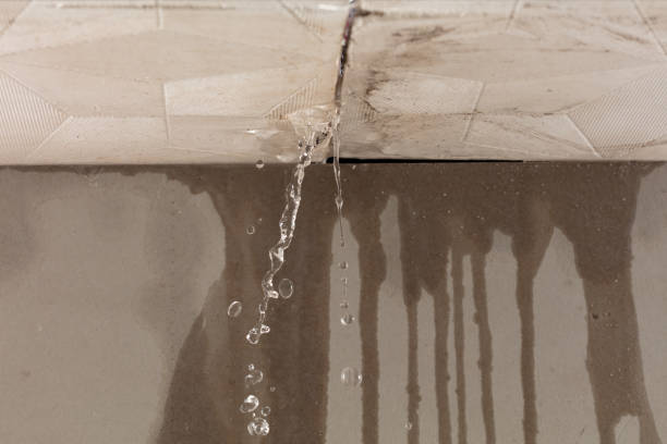 Professional Burst Pipe Cleanup technician working in Heber, CA